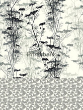 Wholesale Cambric Dress Material Top & Bottom Set